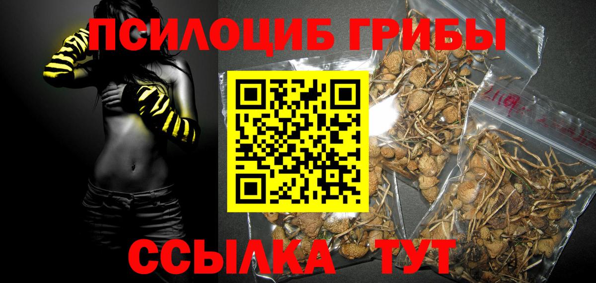 Псилоцибиновые грибы Cubensis  Вход с VPN  Кыштым 